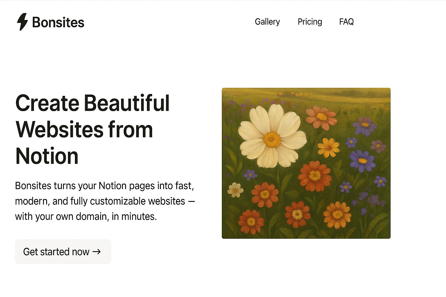Bonsite Website