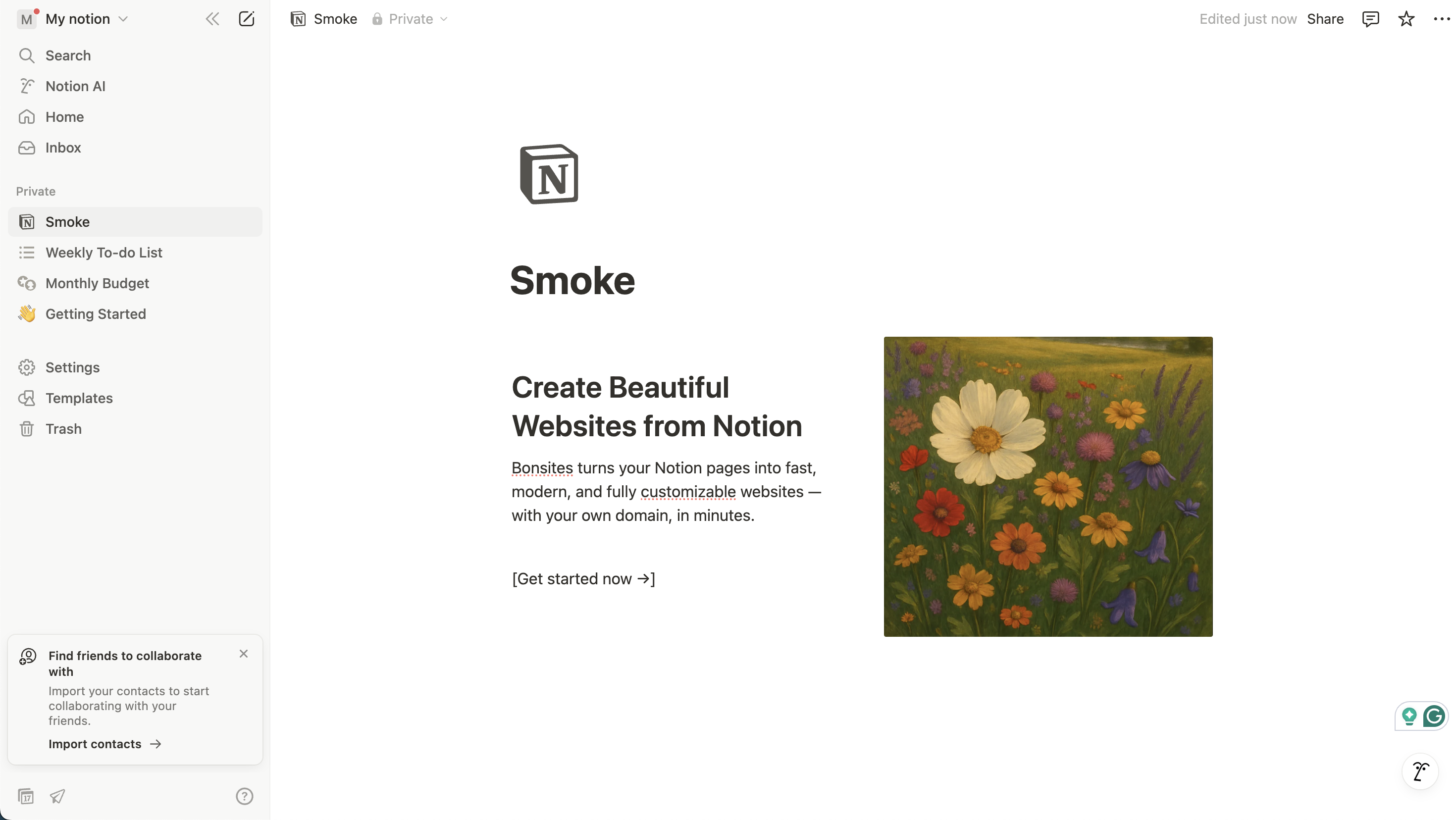 Notion Template